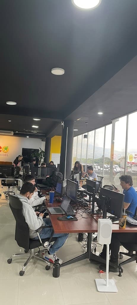 The SEO Contenidos floor during a working day: rows of desks with monitors, the team at work, and windows running the length of the wall.
